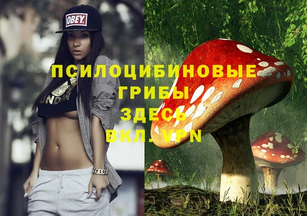 прущие крисы Лихославль