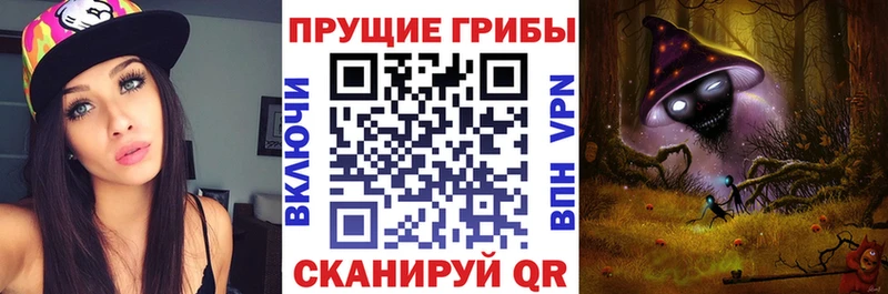 Галлюциногенные грибы ЛСД  Купить закладки  Нововоронеж 